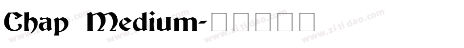 Chap Medium字体转换